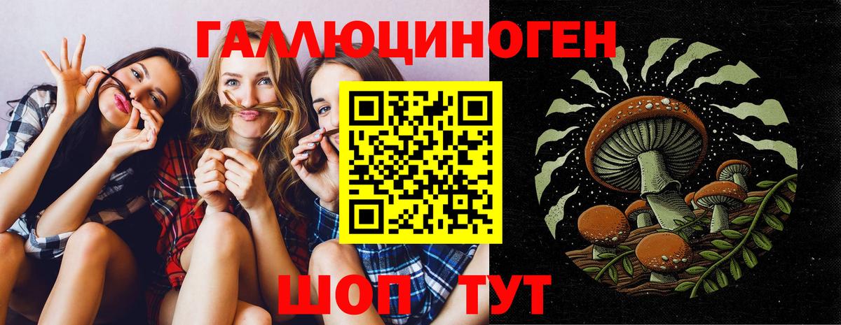 Галлюциногенные грибы прущие грибы  Псилоцибиновые грибы Psilocybe  Абинск  Вход с VPN 